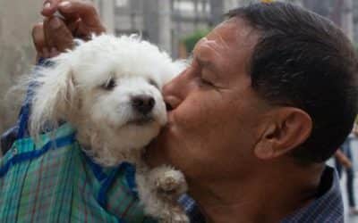 La tienda que, además de vender perros, promueve la adopción